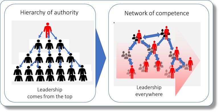 Why Business Agility Requires A Shift From A Hierarchy To A Network