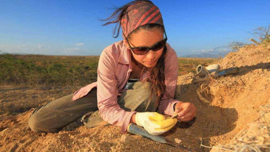 Office In The Forest: Meet The Colombian Unraveling Fossil Plant Mysteries