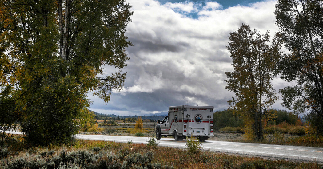 Remains Matching Description of Gabrielle Petito Were Found in Wyoming Camping Area