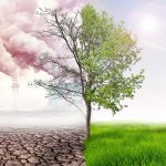 3 Ways Climate Change Will Impact Your Business’s Future