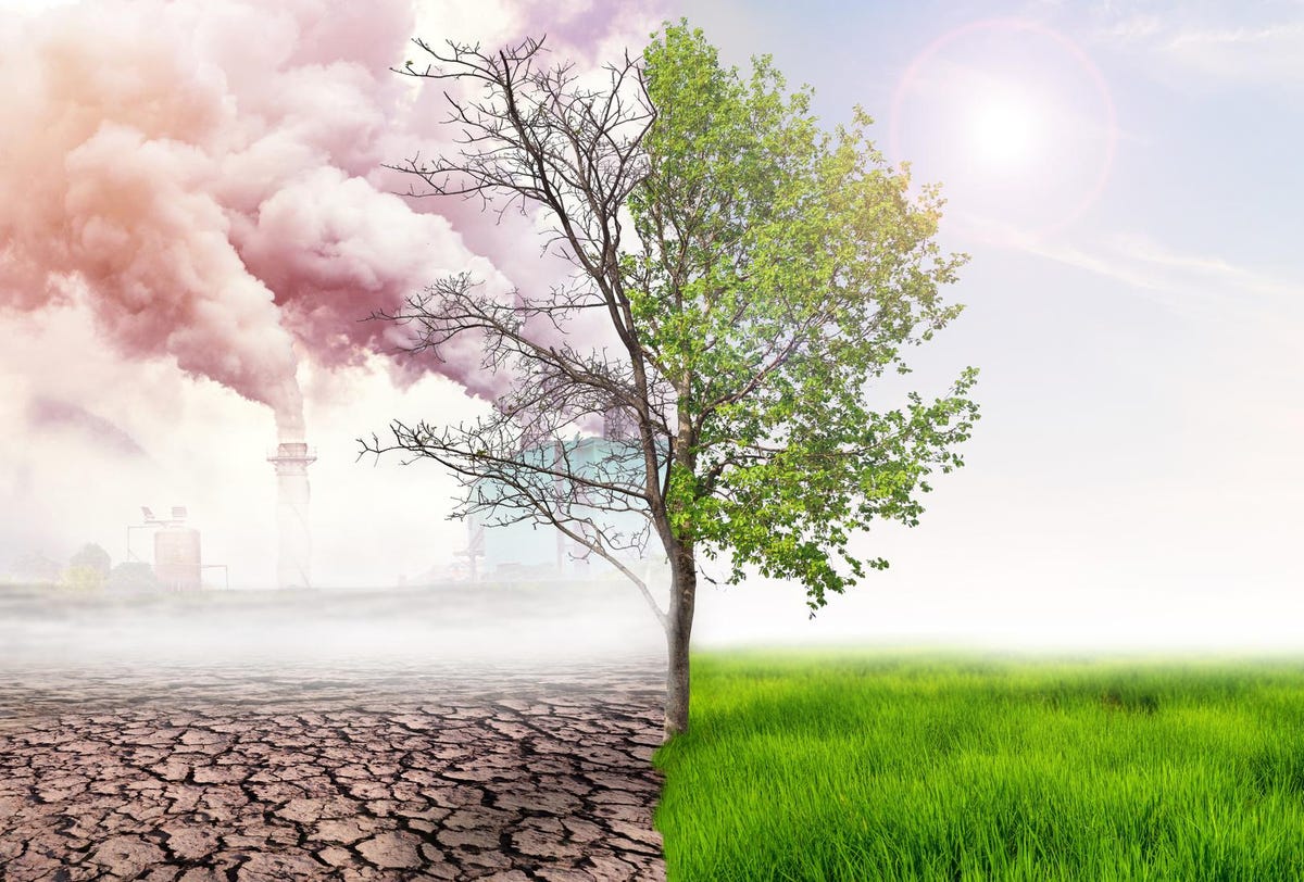 3 Ways Climate Change Will Impact Your Business’s Future