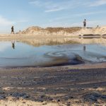 ‘Major’ Oil Spill Off California Coast Threatens Wetlands and Wildlife