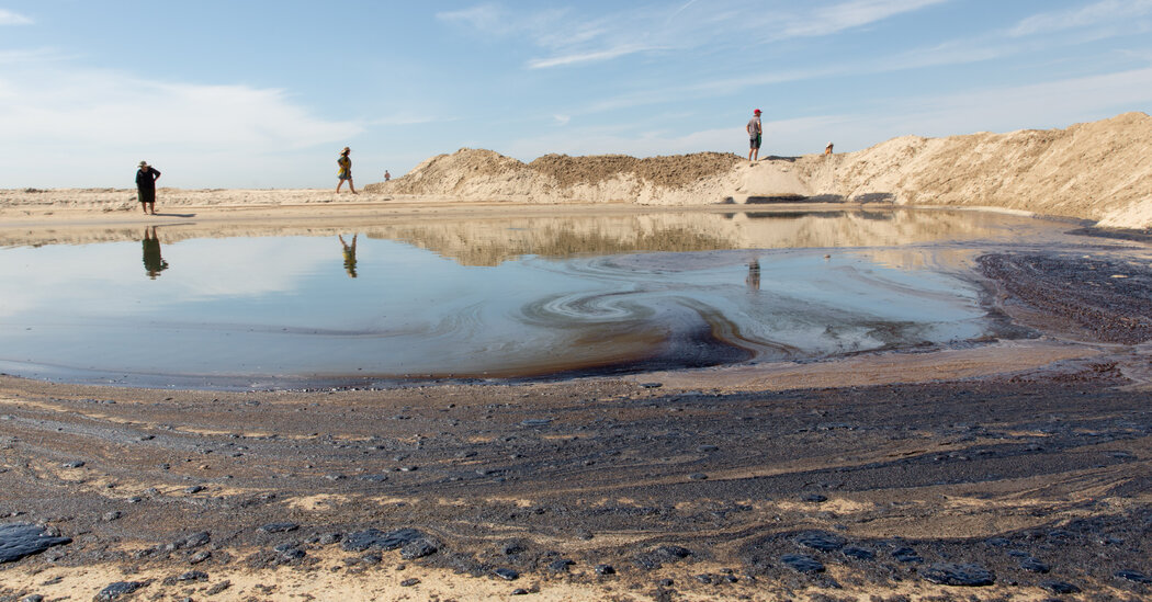 ‘Major’ Oil Spill Off California Coast Threatens Wetlands and Wildlife