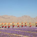 Spice Company In Afghanistan Stays Committed To Its Farmers