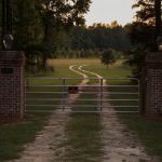 Unsolved Murdaugh Murders Expose Years of South Carolina Mysteries