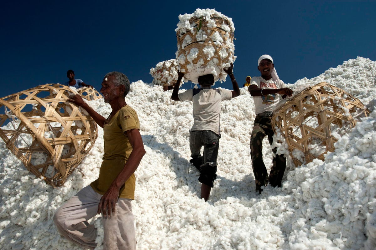 Virtually All Cotton Claims ‘False Or Misleading’ Says Report Exposing Fashion’s Misinformation Problem