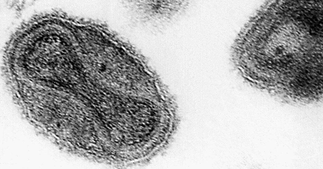 C.D.C. Says ‘Smallpox’ Vials Found in Lab Did Not Contain Disease-Causing Virus