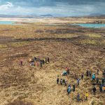 Icelandic Brand Partners With Forestry Organization To Bring Back Trees To A Barren, Windswept Landscape