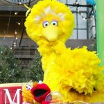 Sen. Ted Cruz Trolls Big Bird After Sesame Street Covid-19 Vaccine Tweet