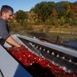 Support Family Farms This Thanksgiving With Ocean Spray