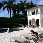 The ‘World’s Wealthiest Canine’ Is ‘Selling’ Miami Estate For  Million