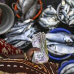 AI-Powered Seafood Marketplace Startup Raises  Million From Tiger Global And Prosus Ventures