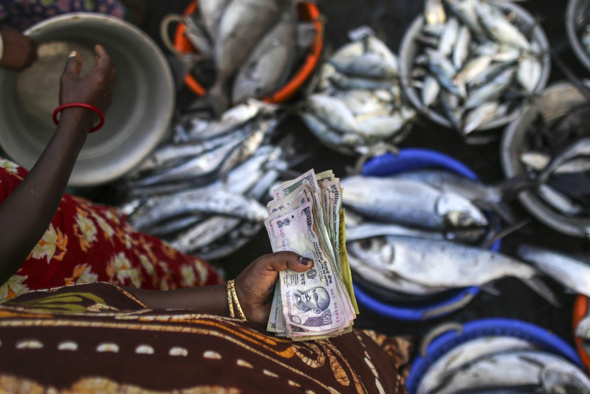 AI-Powered Seafood Marketplace Startup Raises  Million From Tiger Global And Prosus Ventures