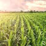 How This Agtech Company Is Helping Make Commercial Agriculture More Sustainable