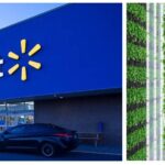 Walmart’s Bringing The Farm Closer To The Store