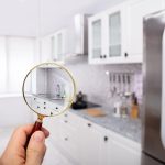 5 Things That Should Happen During A Home Inspection