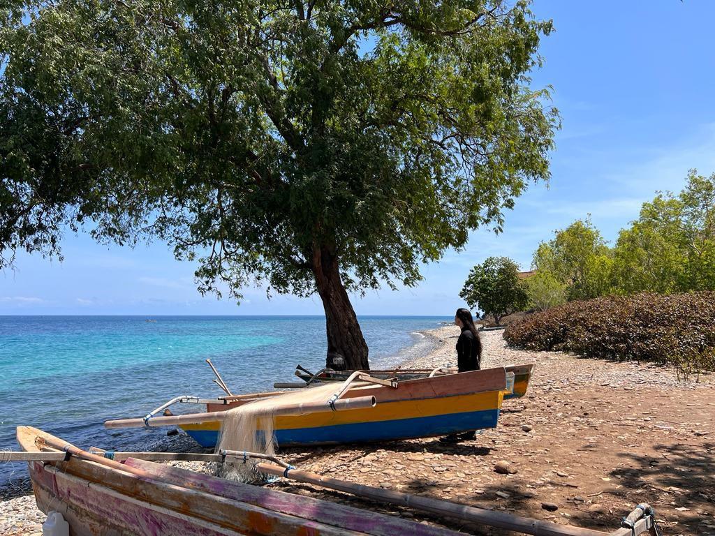 The Women Helping Timor-Leste To Emerge From Conflict – Twenty Years Since Independence